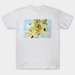 Lilium  &#39;Chill Out&#39;  Oriental hybrid lily T-Shirt